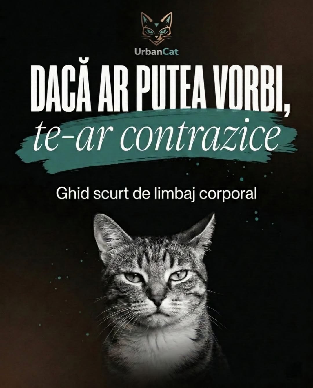 Pattern info plus emoție, hook slide 1 carusel UrbanCat 164k vizualizări educațional personalizat, viral TikTok