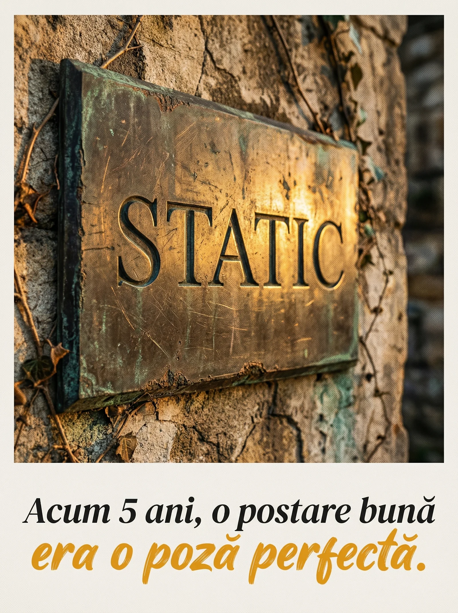 i-vory Studio carusel promoțional