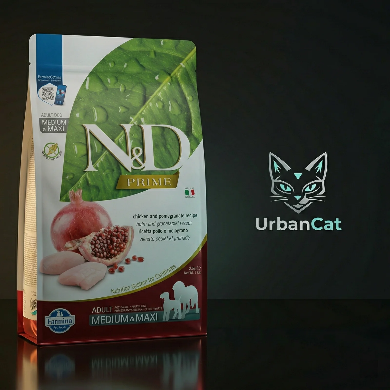 UrbanCat hero categorii